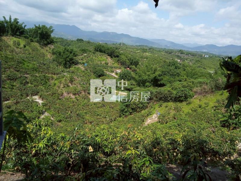 九層林3137坪果園山坡地房屋室內格局與周邊環境