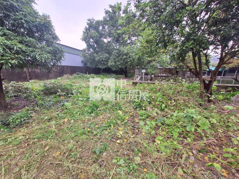 【奔馳】近南崁交流道大坑農地附建物房屋室內格局與周邊環境