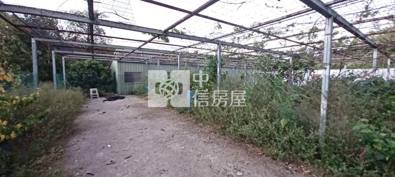【奔馳】近南崁交流道大坑農地附建物房屋室內格局與周邊環境