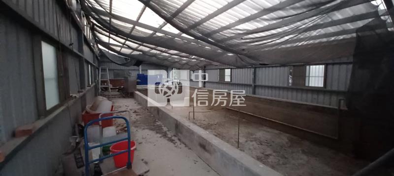 【奔馳】近南崁交流道大坑農地附建物房屋室內格局與周邊環境