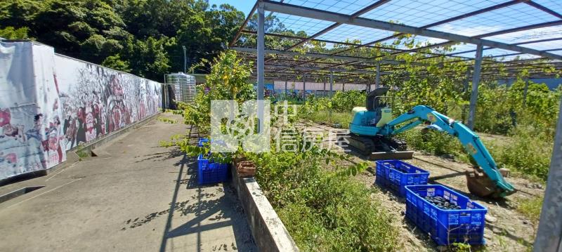 【奔馳】近南崁交流道大坑農地附建物房屋室內格局與周邊環境