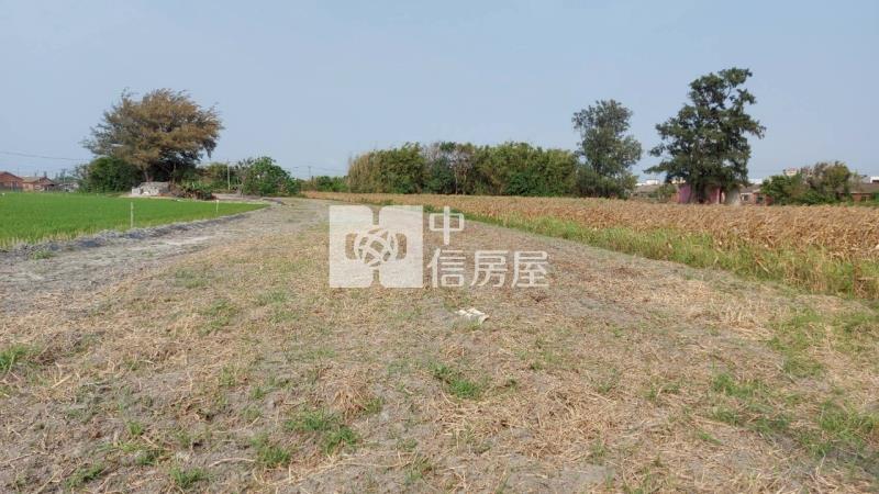 口湖農地房屋室內格局與周邊環境