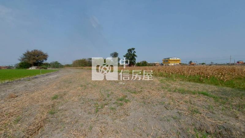 口湖農地房屋室內格局與周邊環境