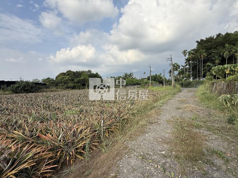 科大路上農地2.7分房屋室內格局與周邊環境