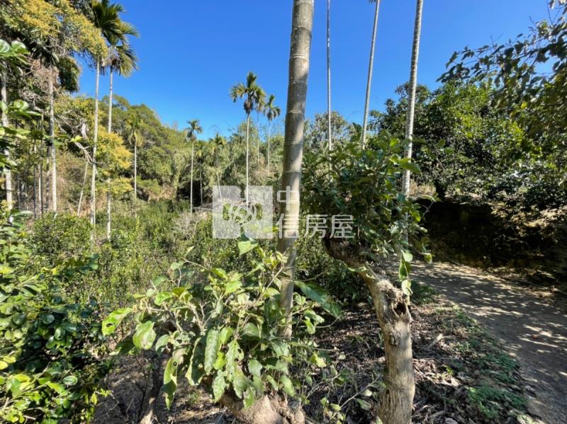 日光溫泉旁土地房屋室內格局與周邊環境