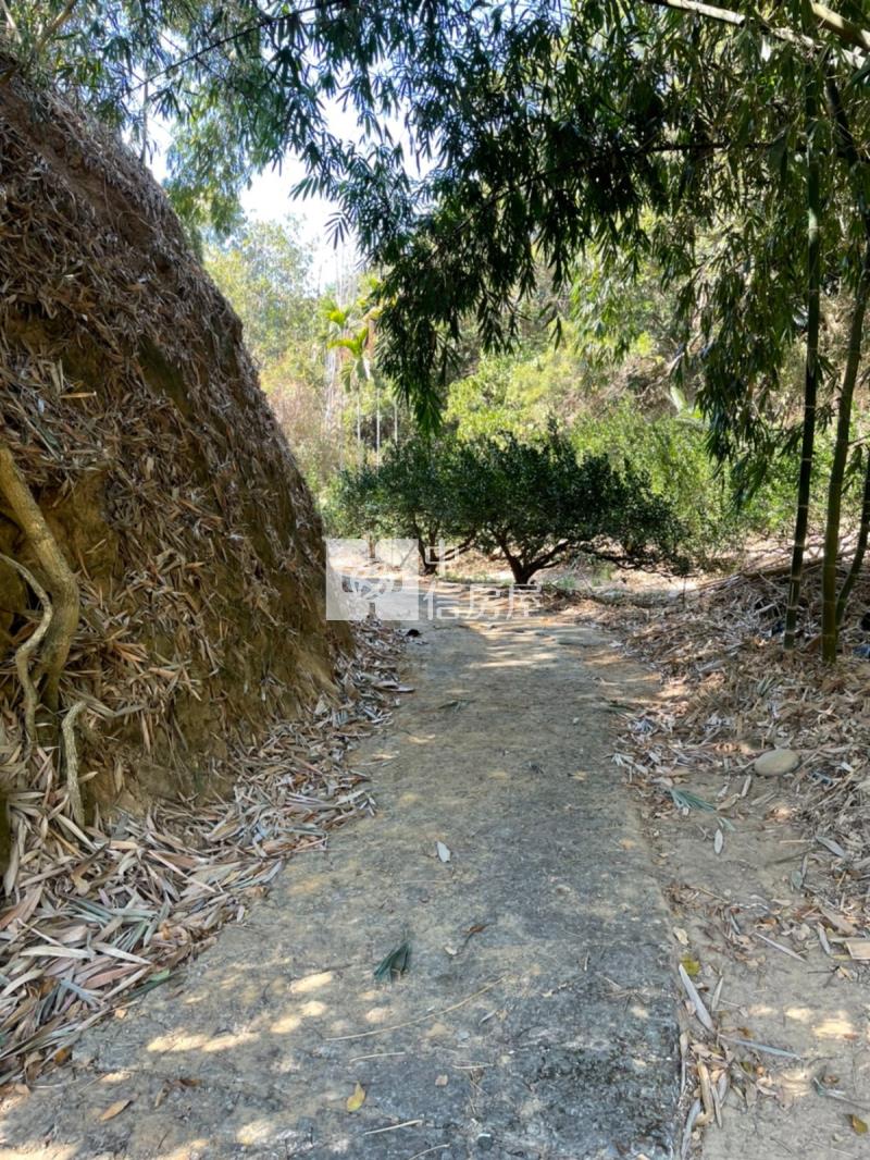 日光溫泉旁土地房屋室內格局與周邊環境