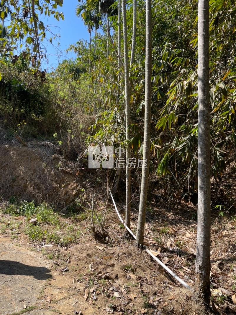 日光溫泉旁土地房屋室內格局與周邊環境