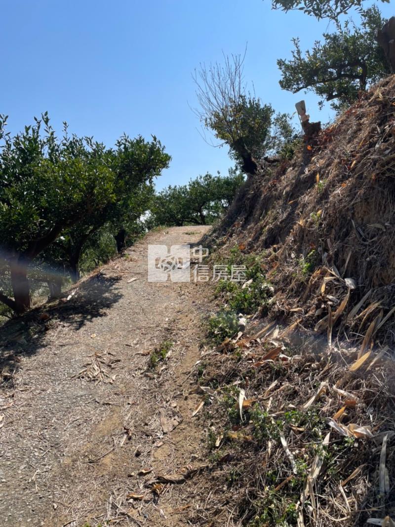 日光溫泉旁土地房屋室內格局與周邊環境