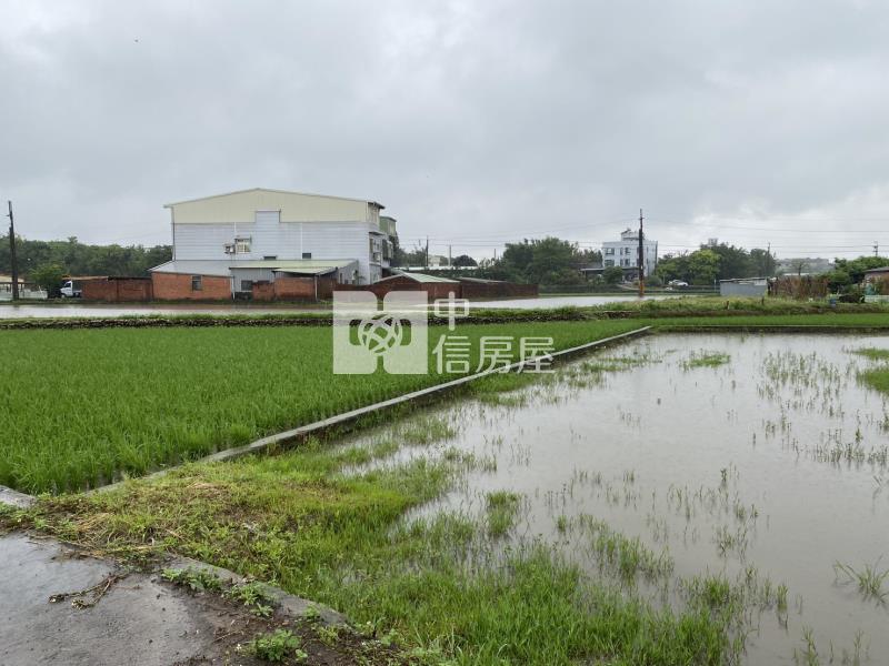 【新世紀】近66大面寬農地房屋室內格局與周邊環境