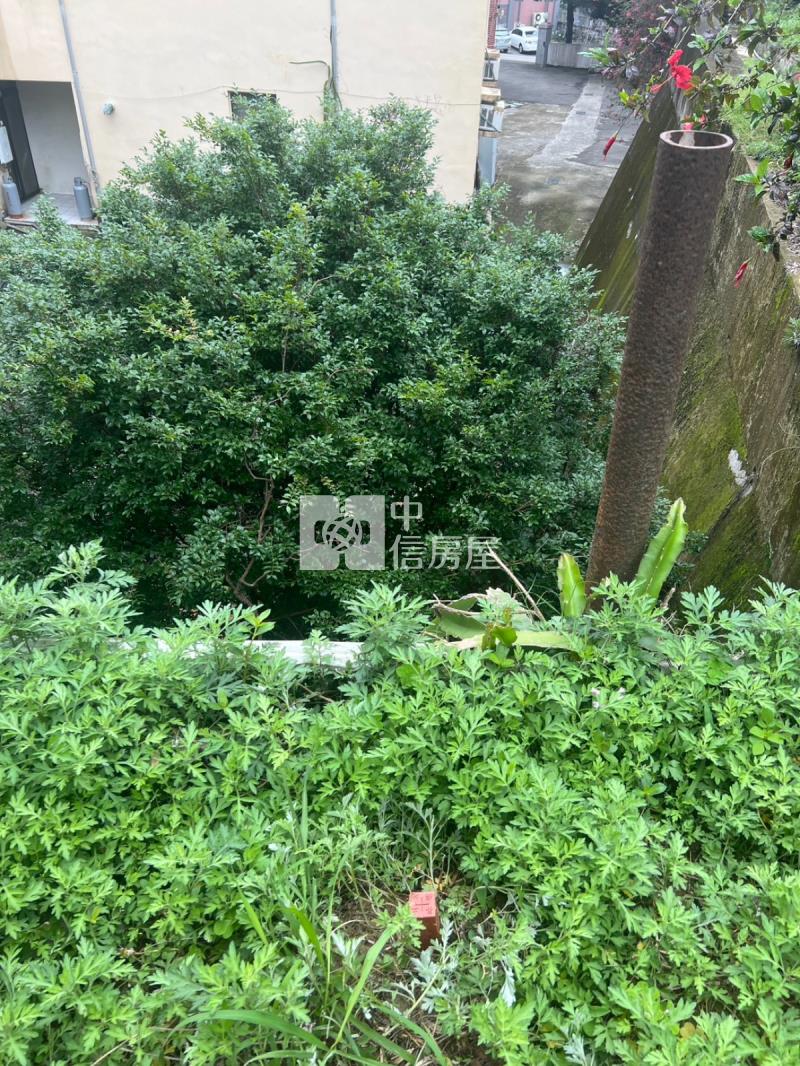 寶山水庫大丙建房屋室內格局與周邊環境
