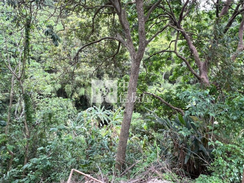 寶山水庫大丙建房屋室內格局與周邊環境