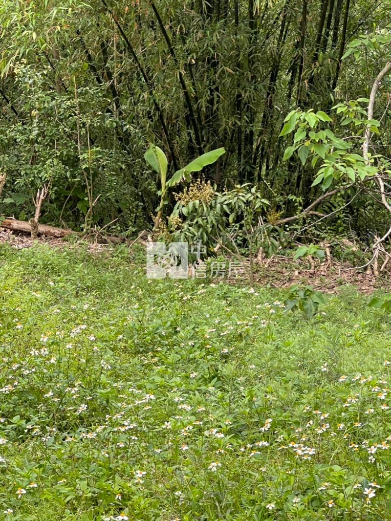 寶山水庫大丙建房屋室內格局與周邊環境