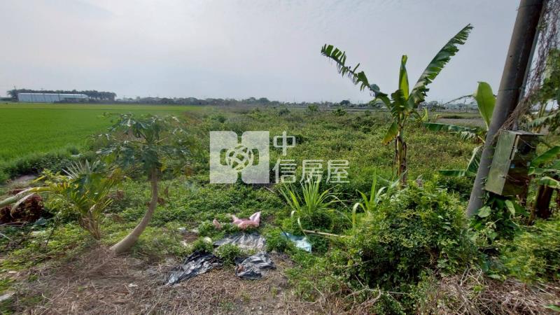 北港都計農地房屋室內格局與周邊環境