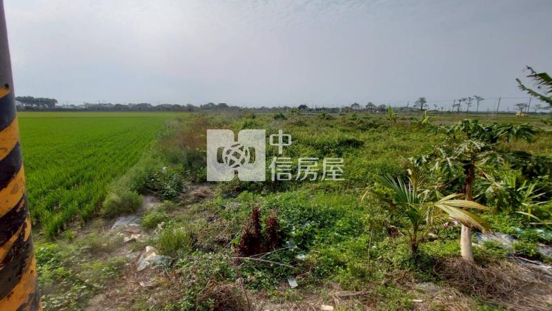 北港都計農地房屋室內格局與周邊環境