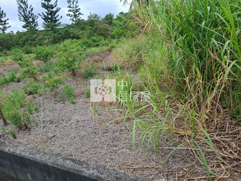 新化二十米路邊農地(二)房屋室內格局與周邊環境