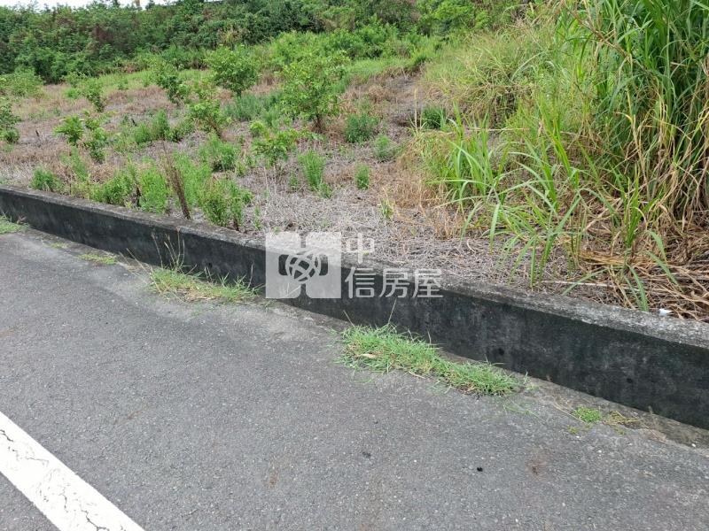 新化二十米路邊農地(二)房屋室內格局與周邊環境