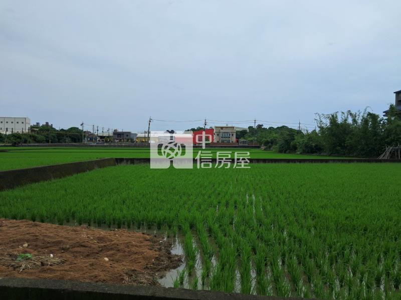 蘆竹中興路旁一般農房屋室內格局與周邊環境