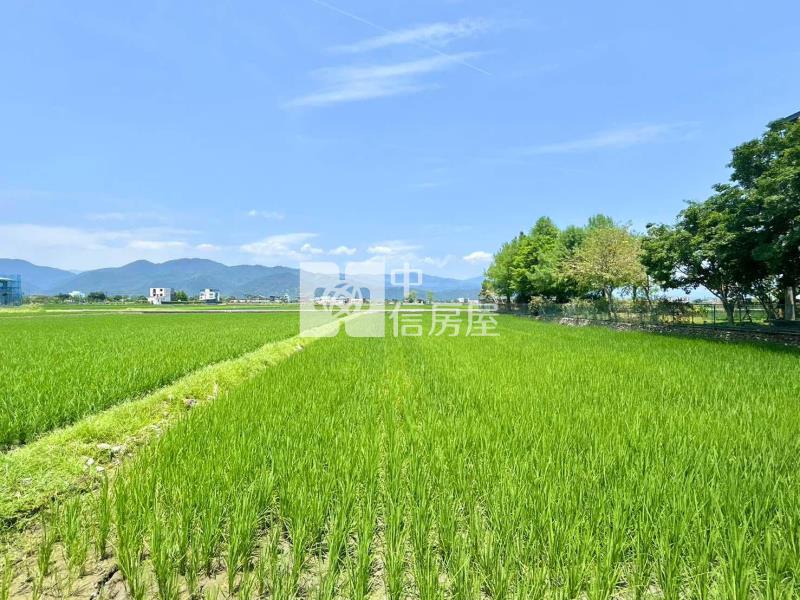 三星超美質感挑高五米農糧加工室房屋室內格局與周邊環境