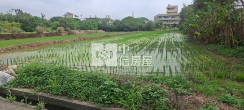 新屋崁頭厝段崁頭厝小段方正美農地房屋室內格局與周邊環境