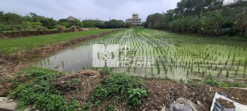 新屋崁頭厝段崁頭厝小段方正美農地房屋室內格局與周邊環境