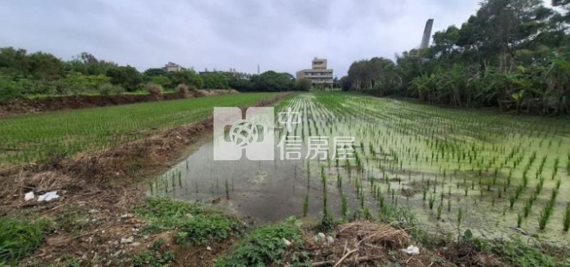 新屋崁頭厝段崁頭厝小段方正美農地房屋室內格局與周邊環境