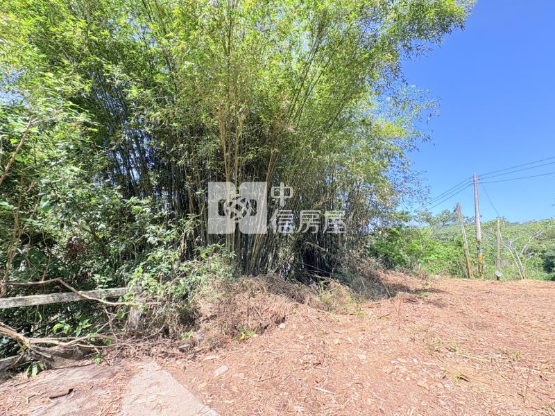 小埔社美地房屋室內格局與周邊環境