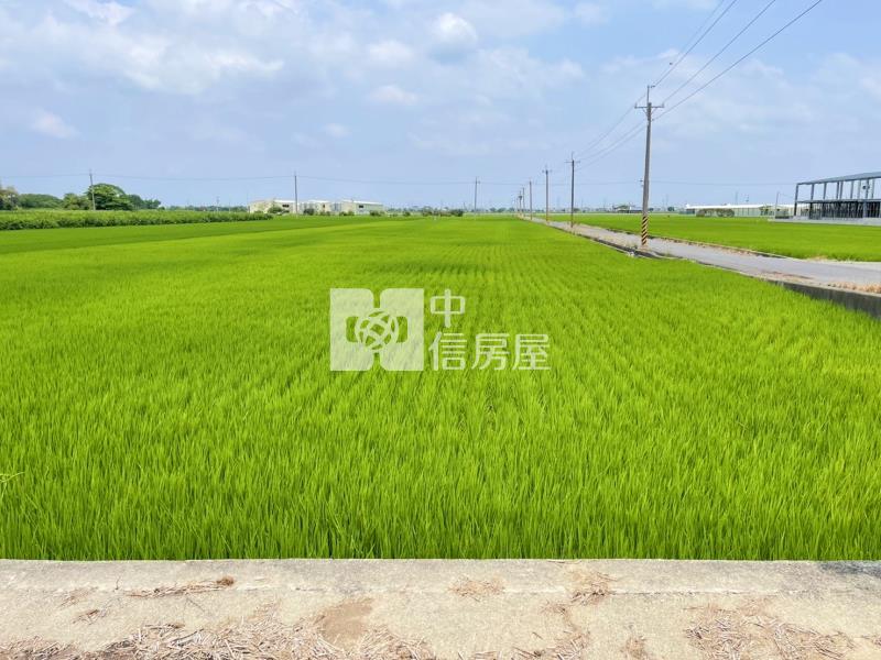 549-嘉義新港良田 ★中信愛的團隊★房屋室內格局與周邊環境