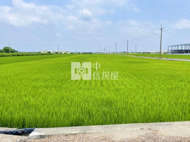 549-嘉義新港良田 ★中信愛的團隊★房屋室內格局與周邊環境