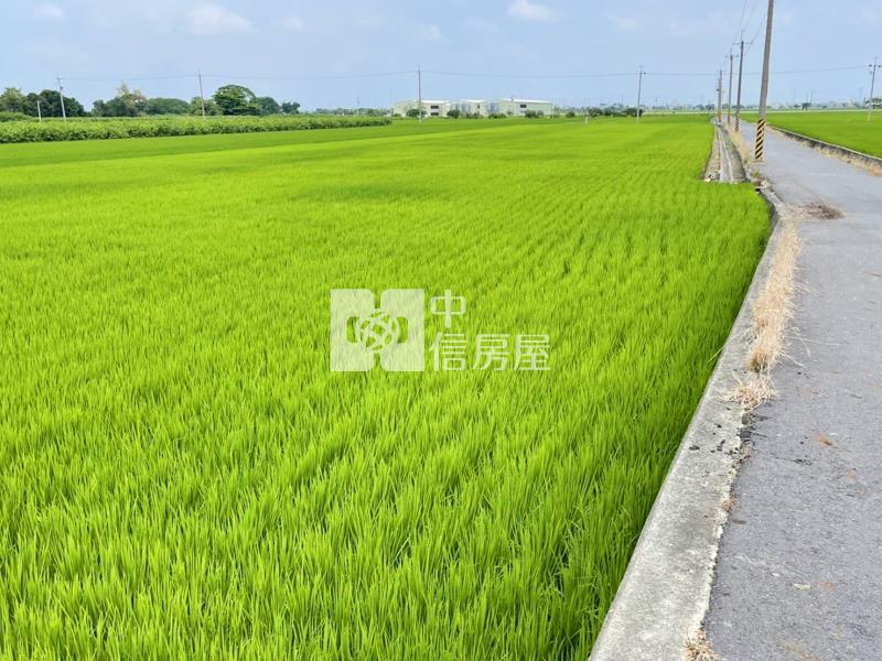 549-嘉義新港良田 ★中信愛的團隊★房屋室內格局與周邊環境
