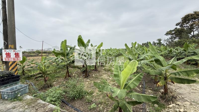 屏科大土地房屋室內格局與周邊環境