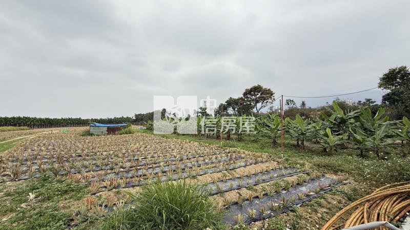 屏科大土地房屋室內格局與周邊環境