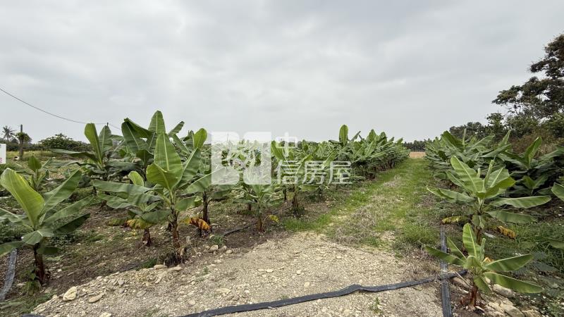 屏科大土地房屋室內格局與周邊環境