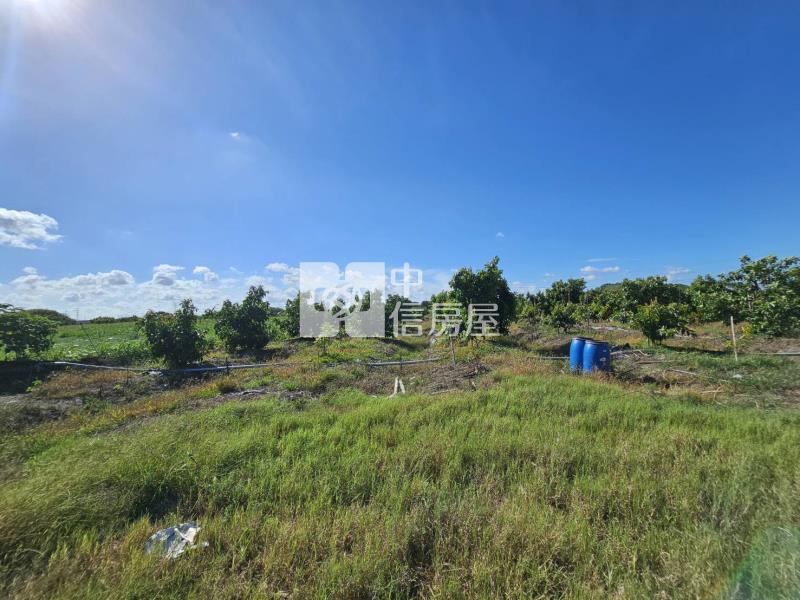 善化六分寮酪梨園3.7分一般農房屋室內格局與周邊環境
