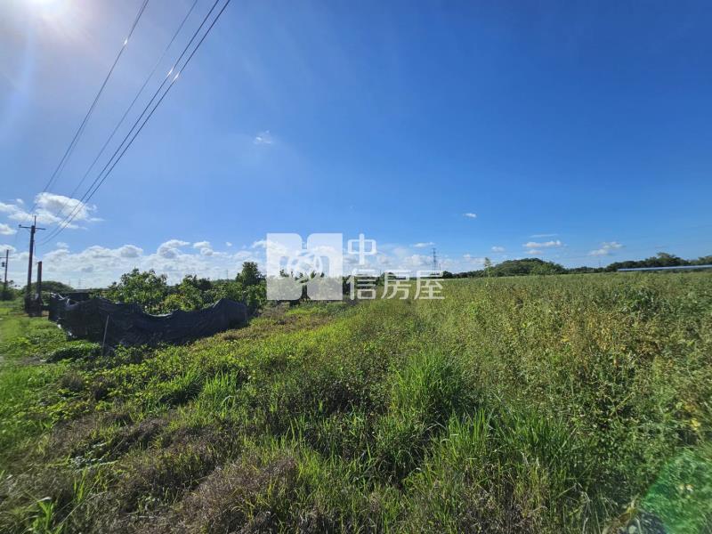 善化六分寮酪梨園3.7分一般農房屋室內格局與周邊環境
