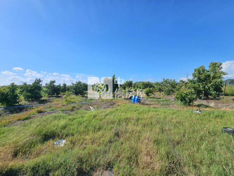 善化六分寮酪梨園3.7分一般農房屋室內格局與周邊環境