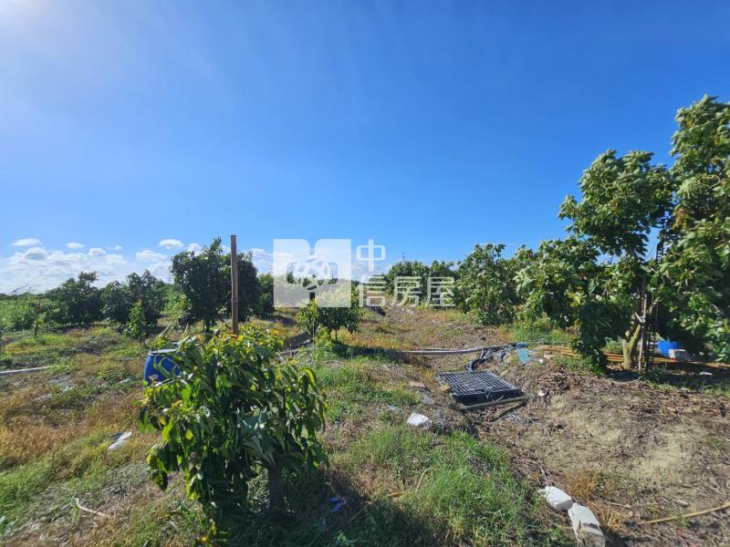 善化六分寮酪梨園3.7分一般農房屋室內格局與周邊環境