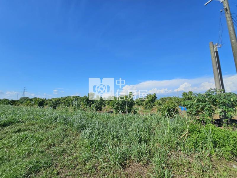 善化六分寮酪梨園3.7分一般農房屋室內格局與周邊環境