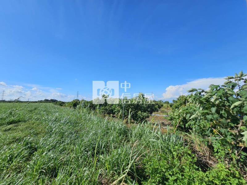 善化六分寮酪梨園3.7分一般農房屋室內格局與周邊環境