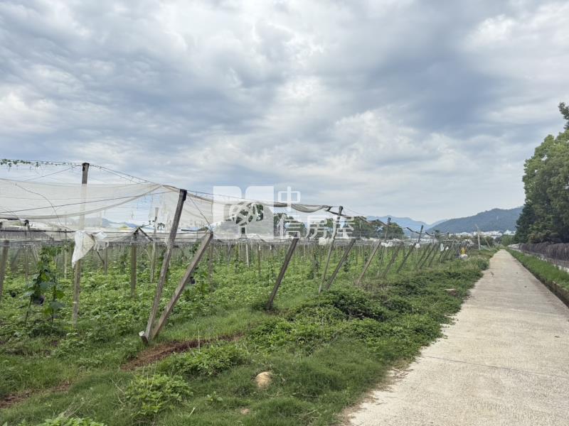 新社農地房屋室內格局與周邊環境