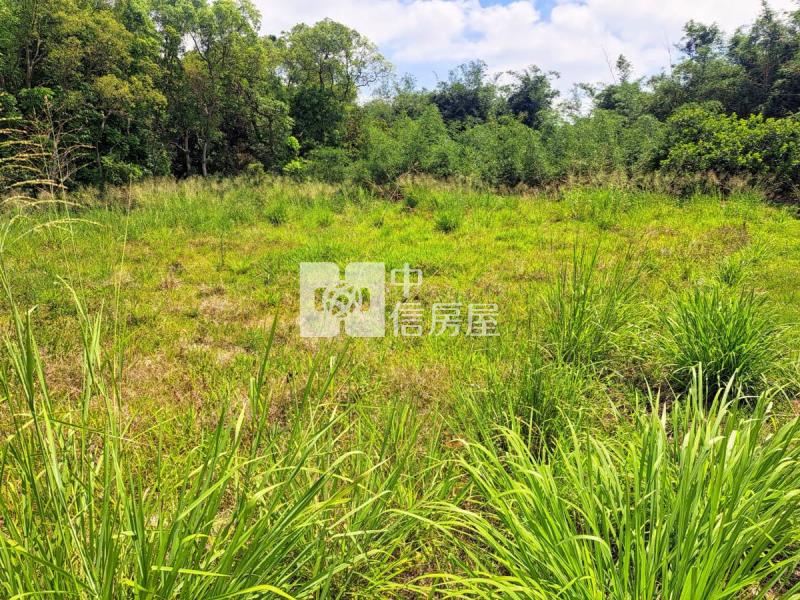 關廟臨路方正優質美農地房屋室內格局與周邊環境