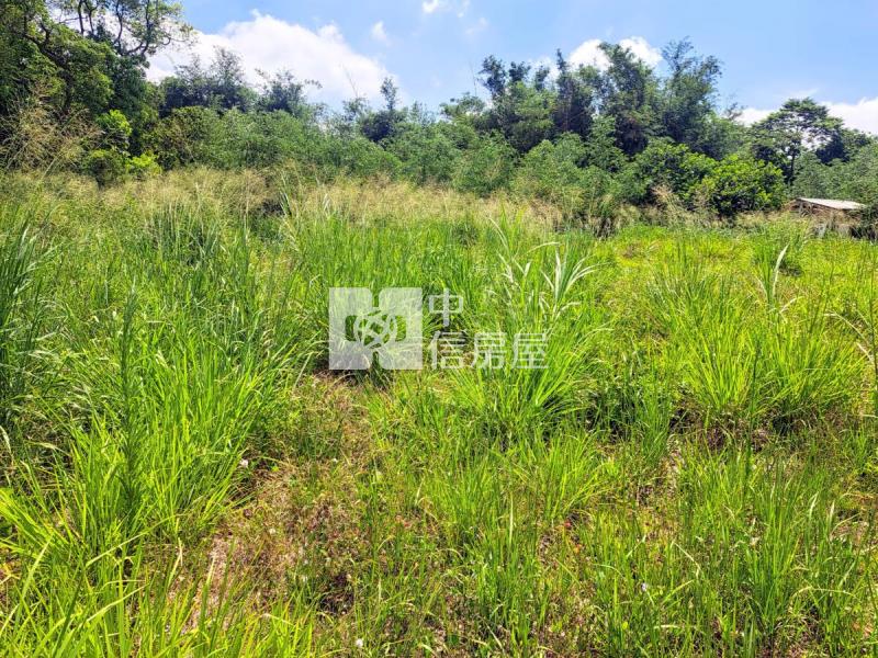 關廟臨路方正優質美農地房屋室內格局與周邊環境