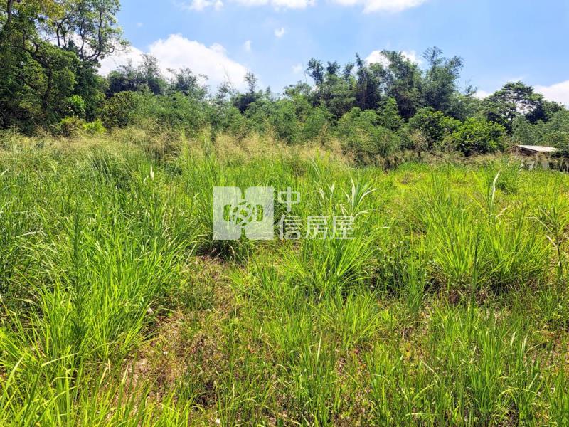 關廟臨路方正優質美農地房屋室內格局與周邊環境