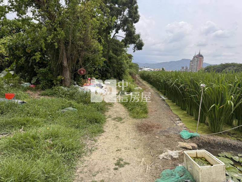 中正路旁農地房屋室內格局與周邊環境