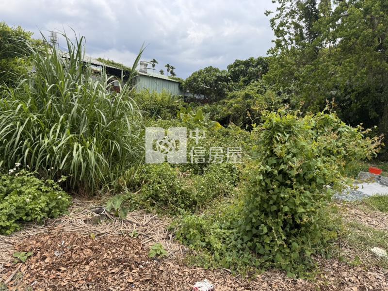 中正路旁農地房屋室內格局與周邊環境