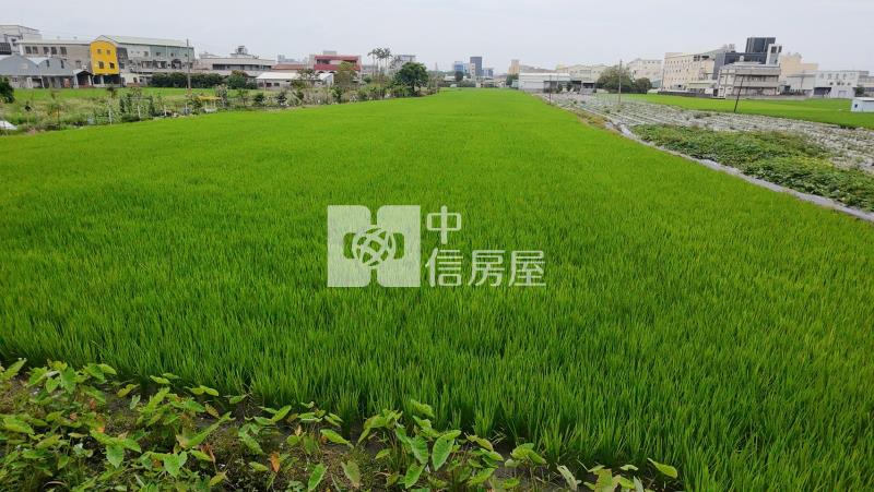 台中霧峰亞大方正農地房屋室內格局與周邊環境