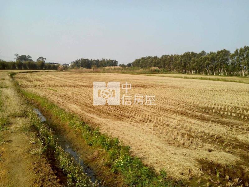 楊梅美農地房屋室內格局與周邊環境