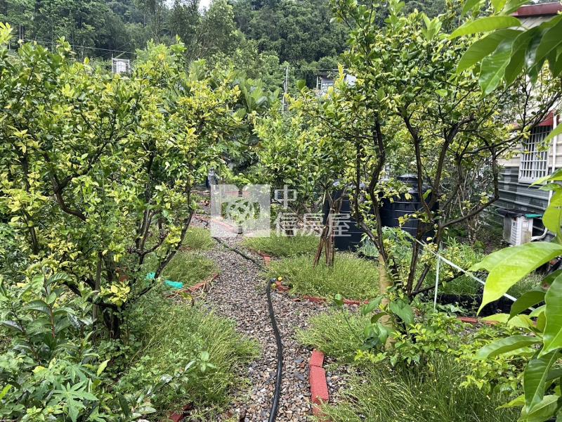 桃米平房農舍房屋室內格局與周邊環境