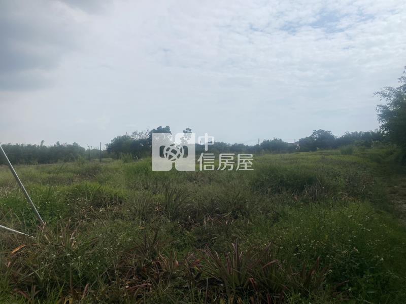 高鐵沙崙段1258坪農地房屋室內格局與周邊環境