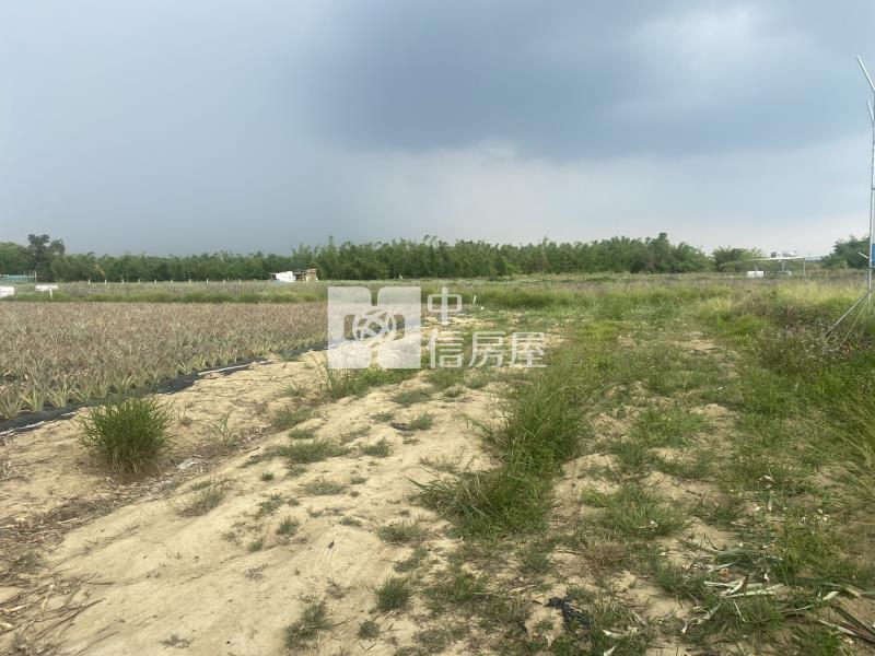 高鐵沙崙段1258坪農地房屋室內格局與周邊環境