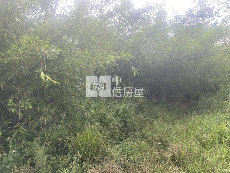 高鐵沙崙段1258坪農地房屋室內格局與周邊環境